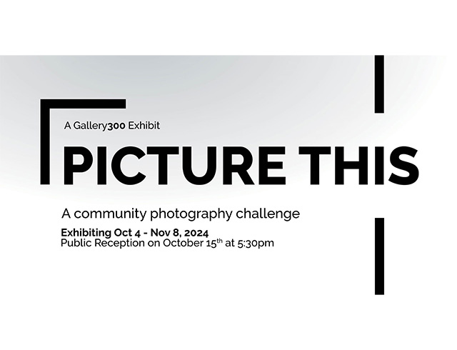 Gallery300 Story
