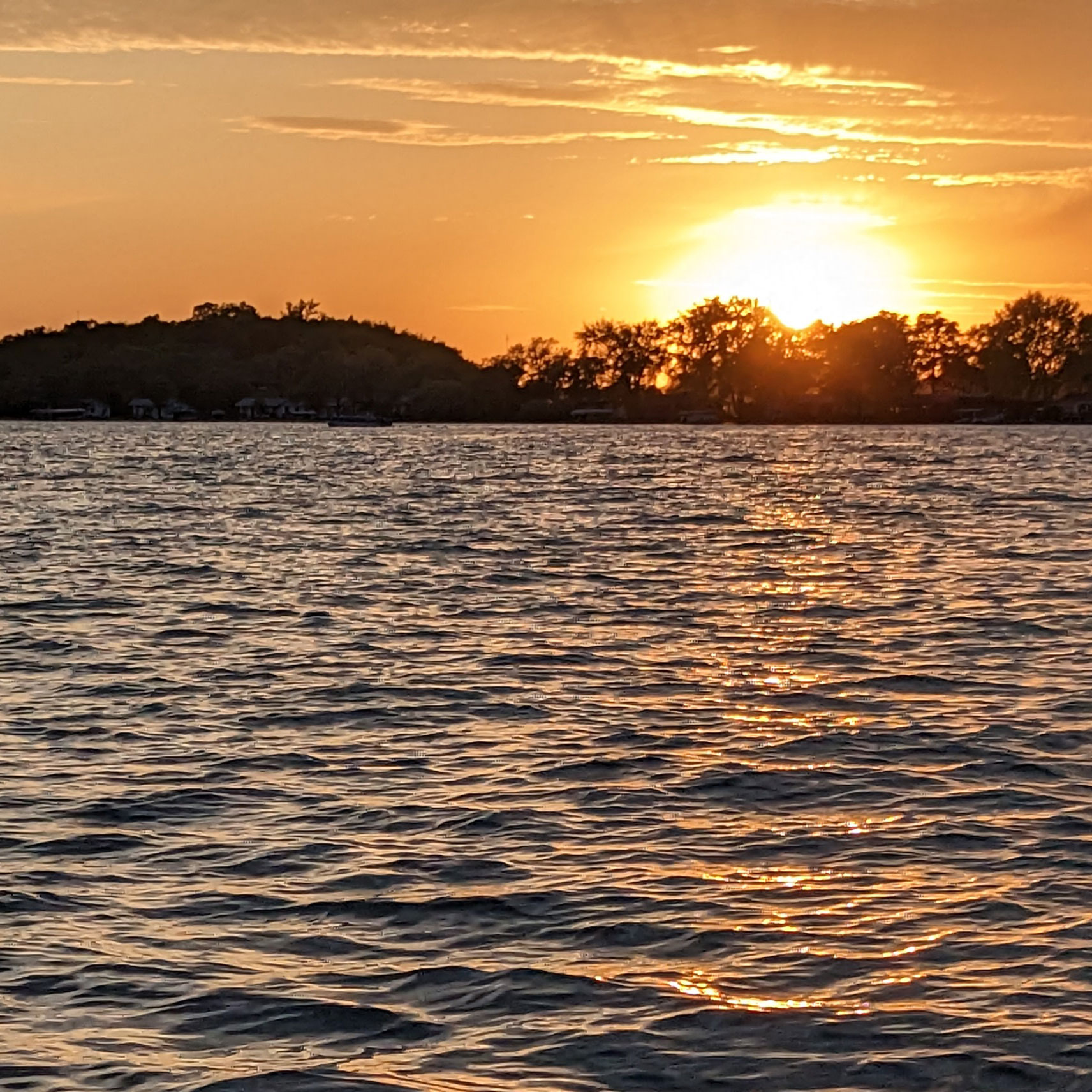 Sunset over lakeshore with trees silhouetted against orange sky.