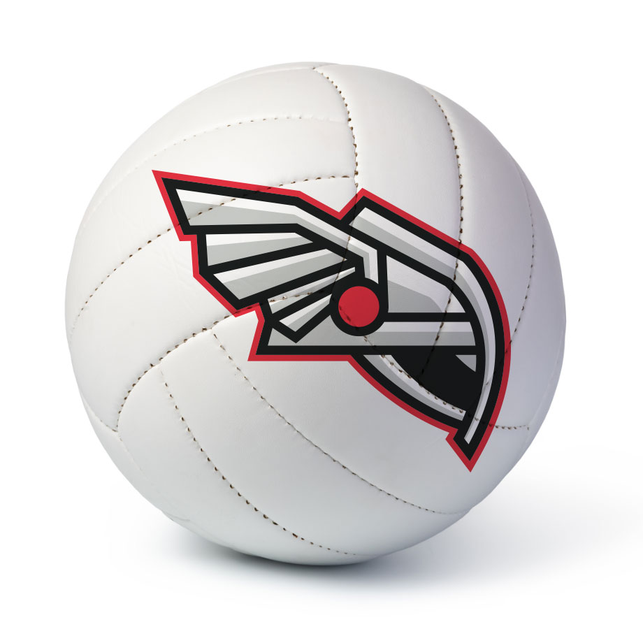 Volleyball with Legends Logo