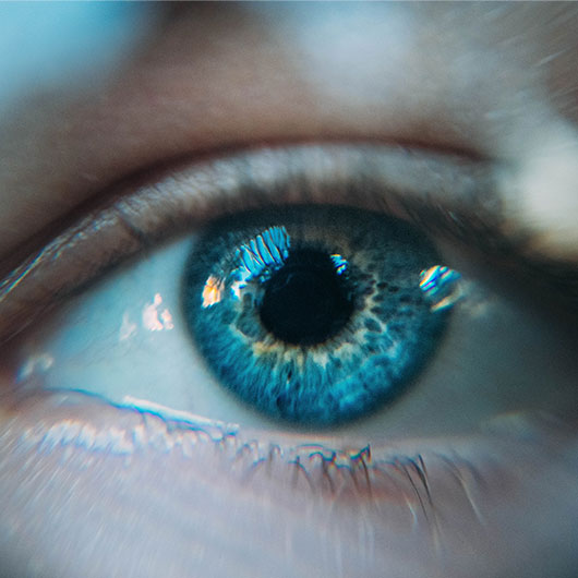 OPTC_Focal